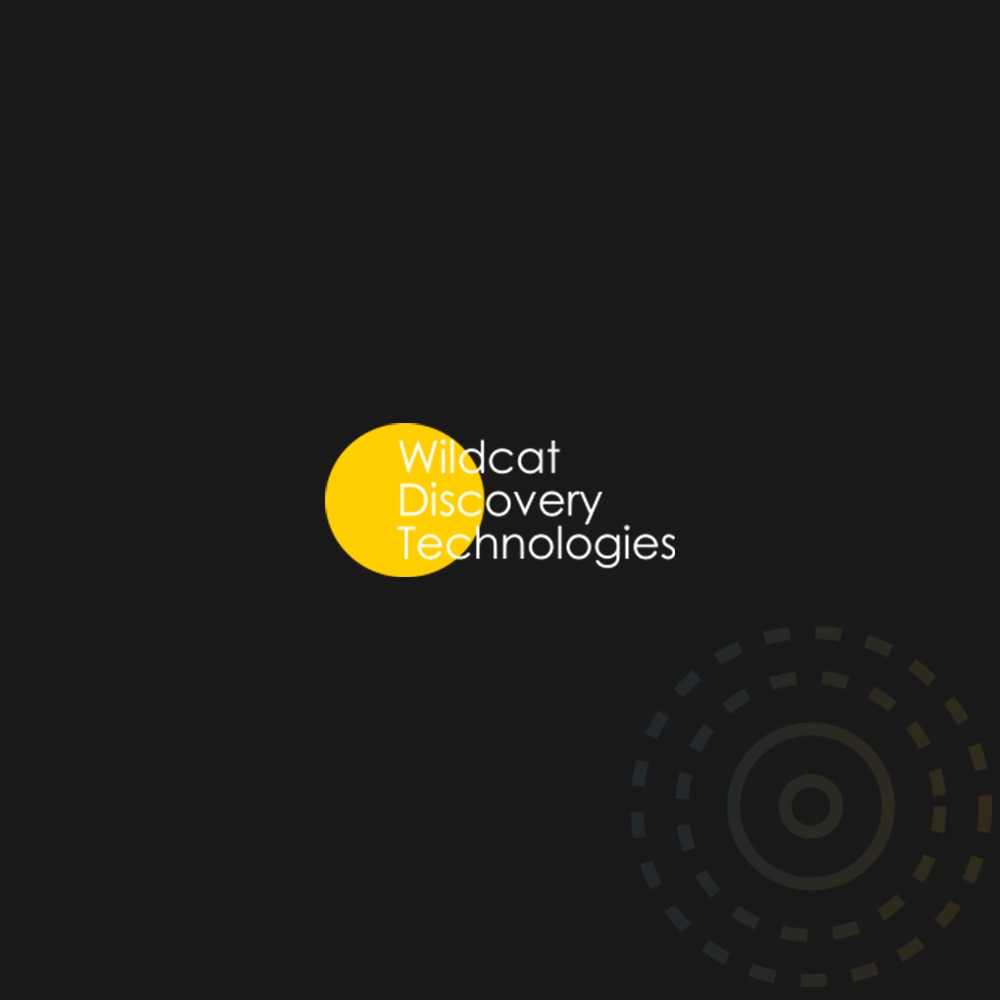 WhatsApp Image 2026-03-13 at 01.00